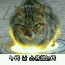 호텔초콜렛 이미지