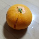 은영농장 이미지