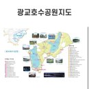 어번레비 | 2025 벚꽃 개화 실시간 광교호수공원 vs 여의도 윤중로 어디가 더 예뻤을까?!