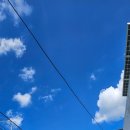 진광인력 - 해남군 | 삼천포 폐기물처리 업체 추천 유품 단독주택 아파트 집안 쓰레기정리 및 유품청소 정돈 내돈내산 체험후기