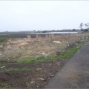 상모리-3 이미지