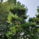 공덕농장 이미지