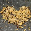 국가대패 이미지