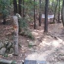 위바 이미지