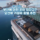 시타딘커넥트호텔 하리 부산 | 부산 영도 호텔 오션뷰 숙소 추천 시타딘커넥트호텔 하리