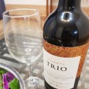 스파펜션엘라고 이미지