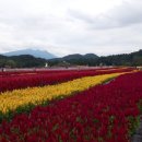 법왕사 앞 이미지