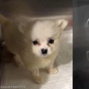 곧바로병원 이미지