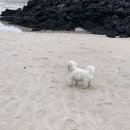 귤밭사진관
