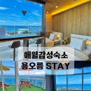 제 2 용오름 태권도 | 제주 애월 1인 감성숙소 완벽한 오션뷰 용오름Stay 후기