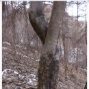 감정곡경로당 | [20110223]춘천 금병산 일주 + 김유정역에서 가평역까지 폐철길 걷기 - 1부