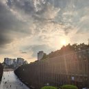 넓은세상 | 고마워 이화야, 나에게 더 넓은 세상을 선물해줘서!