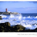 갯마을민박 이미지