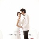 S스튜디오 네이버블로그