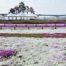 덕일농장 이미지