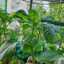 영고농장 이미지