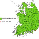 한반도 점령한 '꿀벌킬러' 등검은말벌..대책은 14년째 無 이미지