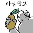 거제GO캠핑 이미지