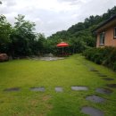 꿋꿋한농원 이미지