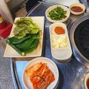 돼지나라갈매기꿈 이미지