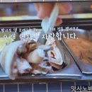 빨라쪼대전