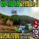 여주-0402 네이버블로그