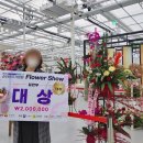 영광플라워
