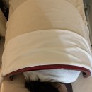 노바메디칼 | 웨딩촬영 전 체형관리｜압구정 꽁쌤에스테틱 테라노바 등관리 후기