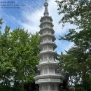 해동용궁사 | 부산 여자 혼자여행 해동용궁사 9월 뚜벅이 후기(입장료, 기념품샵)