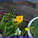 골드리버 이미지