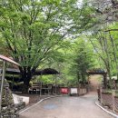 고란길(길안면) 이미지