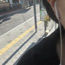 하띠농장 | 오래 기다리진 않아 설렘은 잠깐이니까
