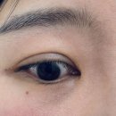 샤벳뷰티 | 정발산 속눈썹 펌 연장 후기｜샤벳뷰티 방문 솔직리뷰