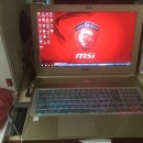 Msi GS60-2QD Glod Ghost Edition ssd125&Hdd 1TB 팝니다! 이미지