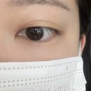 아이비 | 서면 속눈썹 잘하는 아이비래쉬 방문후기