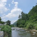 기웅농장 | 5월 다음은 7월인가요?