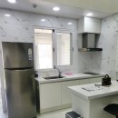 골드애견 이미지