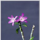 후암농장 이미지