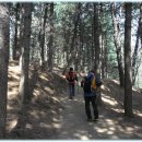 현충원 산책길 이미지