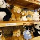 씽씽골프존 이미지