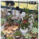 광옥농장 이미지