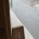 도요1250 이미지