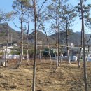 수목휴게소