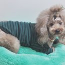 주식회사 여울 이미지