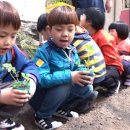 화개초등학교왕성분교장 이미지