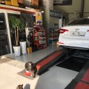 붕붕개러지 이미지