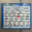 센트럴인내과의원 | [수원 바디관리] 웨딩관리 상체관리 후면관리 다이어트 셀룰라이트 독소 노폐물 배출 ‘비타미스뷰’