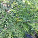 실로암농장 이미지