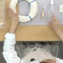 경기도늘푸른노인복지관 이미지