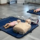 봉암동119 | 1 대 1 필라테스, LEA 수상인명구조교육협회 인명구조요원 자격증 취득 후기 (5일차)